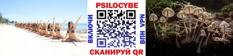 закладки  Нытва  hydra рабочий сайт  Галлюциногенные грибы Magic Shrooms 